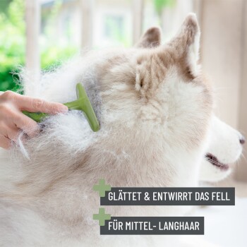 Eine Person pflegt einen flauschigen, hellen Hund mit einem grünen Werkzeug, mit dem Text "glättet & entwirrt das fell" und "für mittel-langhaar."