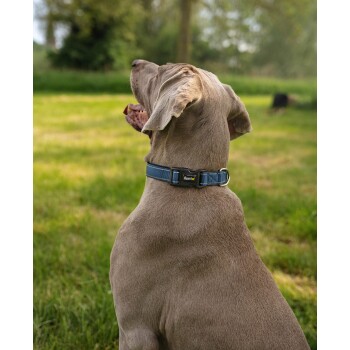 verstellbares Hundehalsband blau L