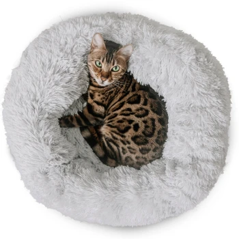 Eine Bengal-Katze mit grünen Augen ruht sich bequem in einem flauschigen, runden, weißen Haustierbett aus.