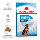 Torba karmy dla szczeniąt Royal Canin Puppy Maxi dla szczeniąt w wieku 2-15 miesięcy, podkreślająca wsparcie odporności, rozwój mózgu i rozmiar krokietów.