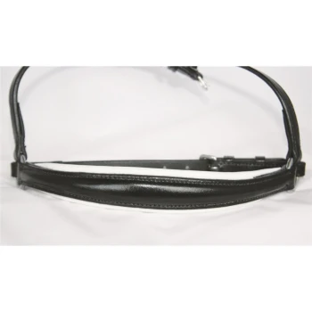 Schwarzes Lederhalsband für Hunde mit silberner Schnalle und verstellbarem Riemen, vor einem weißen Hintergrund präsentiert.