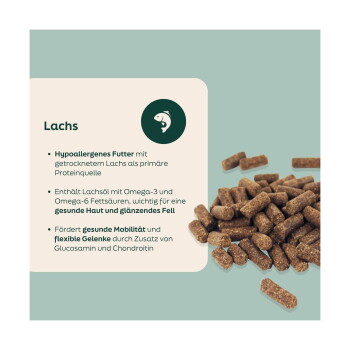 Haufen Lachskroketten neben einem Panel mit Titel 'Lachs' und deutschen Aufzählungspunkten über hypoallergenes Futter, Omega‑3 sowie Unterstützung für Haut und Gelenke.