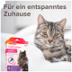 Eine entspannte getigerte Katze, die auf einer weißen Decke liegt, neben einer Box mit Beaphar CatComfort Beruhigungs-Tropfen, mit dem Text "Für ein entspanntes Zuhause."