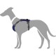 Illustration eines grauen Hundes, der ein blaues und graues Geschirr trägt, das seine verstellbaren Riemen und ergonomisches Design zeigt.