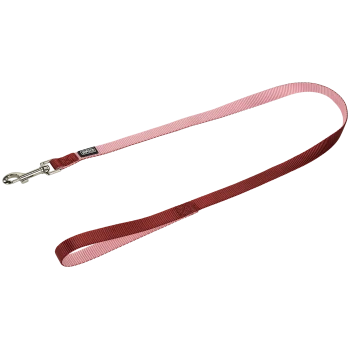 Rote und pinke Nylon-Hundeleine mit Metallverschluss und einem kleinen schwarzen Etikett mit der Aufschrift „Ancol“.