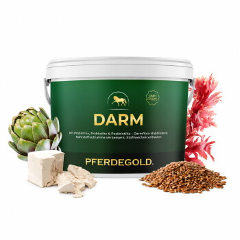 Grüner Eimer mit der Aufschrift DARM und PFERDEGOLD, mit Artischocken, Hefestücken und Leinsamen.