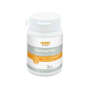Intestinal Plus Tabletten 60 Stück