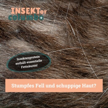 Nahaufnahme von Tierfell mit Schuppen, mit dem Text: "Stumpfes Fell und schuppige Haut?" und "Insektenprotein enthält essentielle Fettsäuren!"