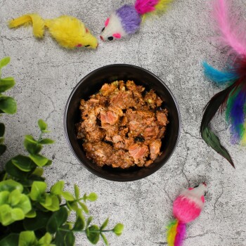 Schwarze Schale gefüllt mit Nassfutter für Katzen, umgeben von bunten gefiederten Katzenspielzeugen und grüner Pflanze auf grauer Oberfläche.