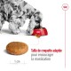 Medium Adulte Croquettes Chien 15+3 kg gratuite
