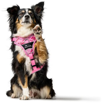 Ein kleiner Hund trägt ein pinkfarbenes Camouflage-Geschirr mit dem markanten Markennamen "HUNTER" und sitzt mit einer erhobenen Pfote.