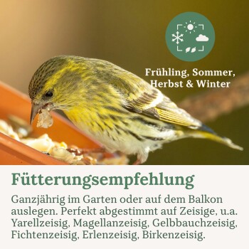 Gelb-schwarzer Vogel auf einem mit Flechten bedeckten Ast sitzend mit deutschem Text über alle Jahreszeiten und saisonale Symbole.