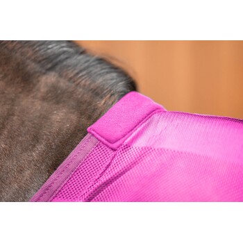 Nahaufnahme des Halses eines Pferdes, das ein leuchtend pinkes Geschirr trägt, das den weichen Stoff und die Nähdetails zeigt.