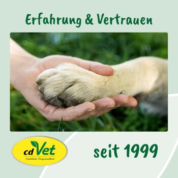 Eine Hand, die sanft die Pfote eines Hundes auf grünem Gras hält, mit dem Text "Erfahrung & Vertrauen" und "seit 1999" darüber und darunter.