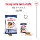 Opakowanie karmy dla psów Royal Canin z suchą karmą i mokrą karmą, oznaczone jako "L maxi adult," odpowiednie dla psów ważących 26-44 kg, promujące zdrowie układu pokarmowego.