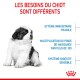 Un chiot noir et blanc duveteux sur un fond blanc avec un texte sur ses besoins et sensibilités uniques.