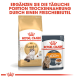 Royal Canin Verpackung zeigt Ragdoll Adult Trockenfutter und Care Intense Beauty Nassfutter, mit Tipps zur täglichen Fütterung.