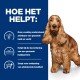 Een gezonde hond staat tegen een blauwe achtergrond, met tekst die de voordelen van een specifiek hondenvoer voor huid- en vachtgezondheid beschrijft.