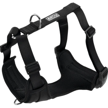 Schwarzes verstellbares Hundegeschirr mit gepolstertem Mesh-Futter und Metall-D-Ring, beschriftet mit „Antone Pet Store“.