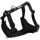 Schwarzes verstellbares Hundegeschirr mit gepolstertem Mesh-Futter und Metall-D-Ring, beschriftet mit „Antone Pet Store“.
