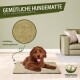Brauner Hund liegt auf einer gemütlichen, mit Hanf gefüllten Hundematte in einem stilvollen Wohnzimmer mit deutschem Text über Wärmeregulierung.