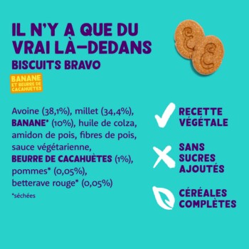 Fond turquoise avec un biscuit en forme de patte. Ingrédients : flocons d'avoine, millet, banane, beurre de cacahuète. Texte : "Recette végétale", "Sans sucres", "Céréales."