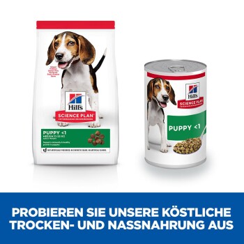 Die Verpackung von Hill's Science Plan Welpenfutter, die einen Beutel mit Trockenfutter und eine Dose mit Nassfutter zeigt, beide beschriftet mit 'Welpe <1'.