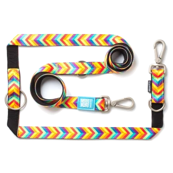 Buntes Hundeleinen- und Halsband-Set mit Chevron-Muster, Metallverschlüssen und Ringen, beschriftet mit „Max & Molly“ und „Urban Pets“.