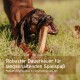Ein verspielter Hund kaut auf einem großen Knochen in einem grasbewachsenen Feld, mit Text: "Robuster Dauerkaurer für langanhaltenden Spielspaß."