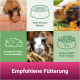 Bild von Meerschweinchen mit Fütterungstipps: "Immer frisches Wasser bereitstellen," "Sorgen Sie für ausreichend Heu," und "Bieten Sie frisches Futter zweimal täglich an."
