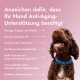 Anzeichen, dass Ihr Hund Anti-Aging-Unterstützung benötigt: geringe Energie, stumpfes Fell, trockene Haut, steife Gelenke, Mobilitätsprobleme, sichtbares Altern, mit einem glücklichen braunen Hund.
