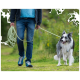 Eine Person in einem blauen Hemd und dunklem Hoodie führt einen glücklichen, flauschigen Border Collie an einer orangefarbenen Leine durch ein grasbewachsenes Gebiet.