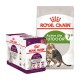 Produits alimentaires pour chats Royal Canin, y compris une boîte de sachets sensoriels et un sac de Active Life Outdoor 7+, avec un chat sur l'emballage.