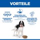 Hund neben Trockenfutter unter der Überschrift 'VORTEILE'; Symbole mit deutschem Text zu ausgewogener Ernährung, Verdauung, Haut & Fell.