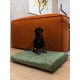 SoftPet Matratze grün XL