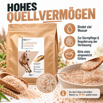 Ein braunes Pferd und ein Hund interagieren im Freien. Text: "VON TIEREXPERTEN EMPFOHLEN" mit Informationen zu hochwertigen Zutaten für Haustiere.