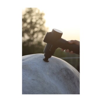 Eine Person, die eine Massagepistole auf dem Rücken eines Pferdes in einer natürlichen Umgebung während des Sonnenuntergangs verwendet.