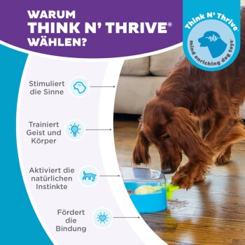 Ein Hund beschäftigt sich mit einem bunten Puzzle-Futterspender, der Think N' Thrive-Spielzeuge zeigt, die die Sinne anregen und die Bindung fördern.