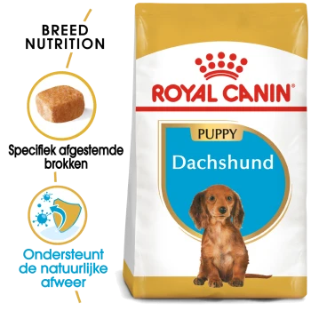 Royal Canin Puppy Teckel hondenvoerzak met specifieke voeding voor het ras, met details over op maat gemaakte brokjes en immuunondersteuning.