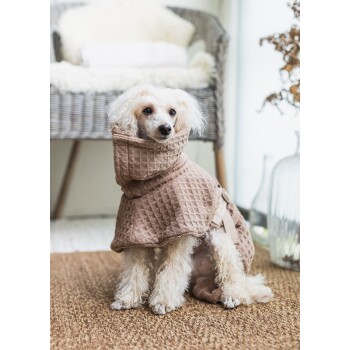 Ein kleiner Hund in einem gemütlichen, strukturierten braunen Hoodie sitzt auf einem gewebten Teppich, mit einem stilvollen Korbsessel und dekorativen Vasen im Hintergrund.