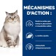 Un chat duveteux aux yeux bleus est assis contre un fond bleu avec un texte sur la nutrition des animaux, y compris des oméga-3, de la glucosamine et des antioxydants.