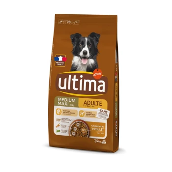 Sac de nourriture pour chiens avec un Border Collie, étiqueté 'Ultima Medium Maxi Adult' pour les chiens âgés de 1 à 7 ans, avec une saveur de poulet.