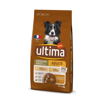 Sac de nourriture pour chiens avec un Border Collie, étiqueté 'Ultima Medium Maxi Adult' pour les chiens âgés de 1 à 7 ans, avec une saveur de poulet.