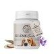 Flasche "Gelenk Tabletten" Gelenkergänzungsmittel für Hunde, 120 Tabletten, mit einem Beagle und einem Etikett über die Gelenkgesundheit.
