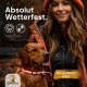 Ein Golden Retriever mit einem beleuchteten Halsband steht neben einer Person in einer wasserdichten Jacke, mit dem Text "Absolut Wetterfest" und "Wasserfester Akku."