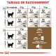 Tableau détaillant les directives alimentaires pour les chats en fonction du poids, montrant les catégories idéales et en surpoids, avec des recommandations spécifiques pour les croquettes et les sachets.