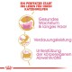 Bild zur Förderung von Kittenfutter mit deutschem Text: "Ein perfekter Start ins Leben" und Vorteilen: "Gesundes Wachstum," "Verdauungsleistung," "Abwehrkräfte."