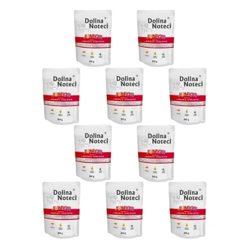 Dziewięć worków karmy dla psów Dolina Noteci Junior, każdy oznaczony napisem 'Dolina Noteci JUNIOR' i 'Serca Wołowe', ważący 300g.