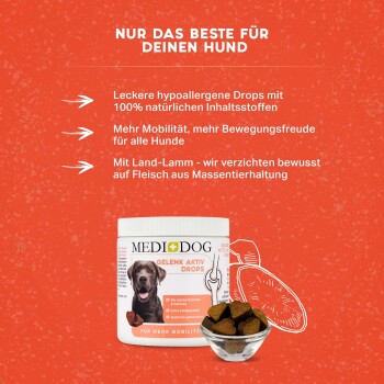 Hypoallergene Hundetropfen in einem weißen Behälter mit der Aufschrift "MEDI DOG Gelenk Aktiv Drops", die die Mobilität von Hunden fördern, mit einer Schüssel voller Leckerlis.