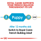 Royal Canin graphic promoting dog food for French Bulldogs, highlighting puppy and adult stages, with text on switching food after 12 months.